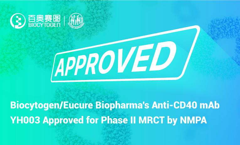 Biocytogen/Eucure Biopharma's YH003 (Anti-CD40 Monoclonal Antibody) Approved for Phase II Multi-Regional Clinical Trial by China National Medical Products Administration