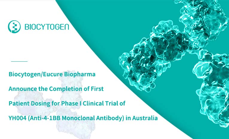 Biocytogen/Eucure Biopharma Announce the Completion of First Patient Dosing for Phase I Clinical Trial of YH004 (Anti-4-1BB Monoclonal Antibody) in Australia
