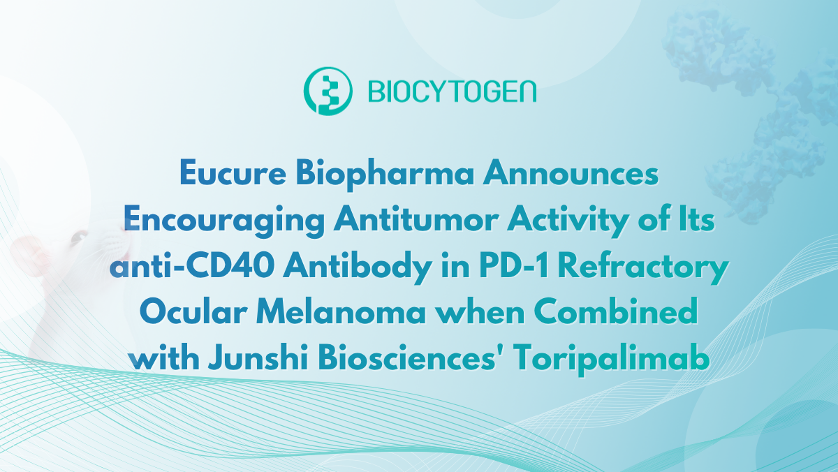 Eucure Biopharma Announces Encouraging Antitumor Activity of Its anti-CD40 Antibody in PD-1 Refractory Ocular Melanoma when Combined with Junshi Biosciences' Toripalimab