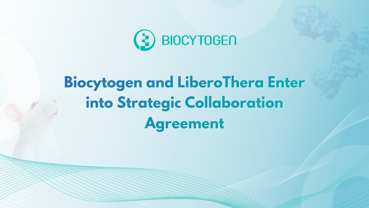Biocytogen and LiberoThera Enter into Strategic Collaboration Agreement