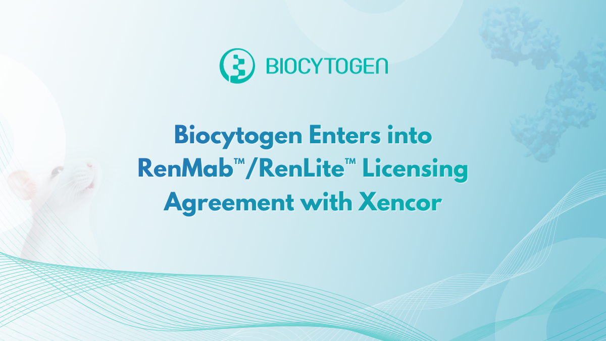 Biocytogen Enters into RenMab&trade;/RenLite&trade; Licensing Agreement with Xencor