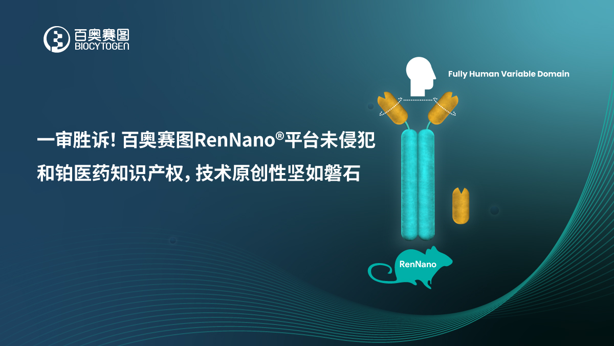 一审胜诉！百奥赛图RenNano平台未侵犯和铂医药知识产权，技术原创性坚如磐石