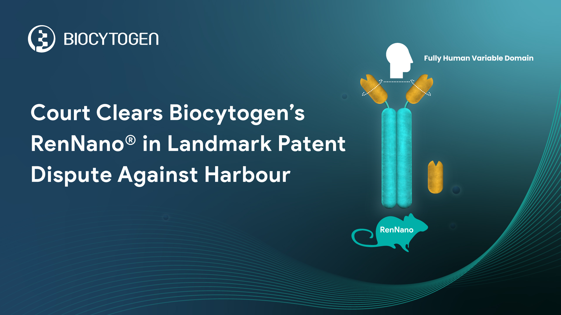 Court Clears Biocytogen&rsquo;s RenNano&reg; in Landmark Patent Dispute Against Harbour