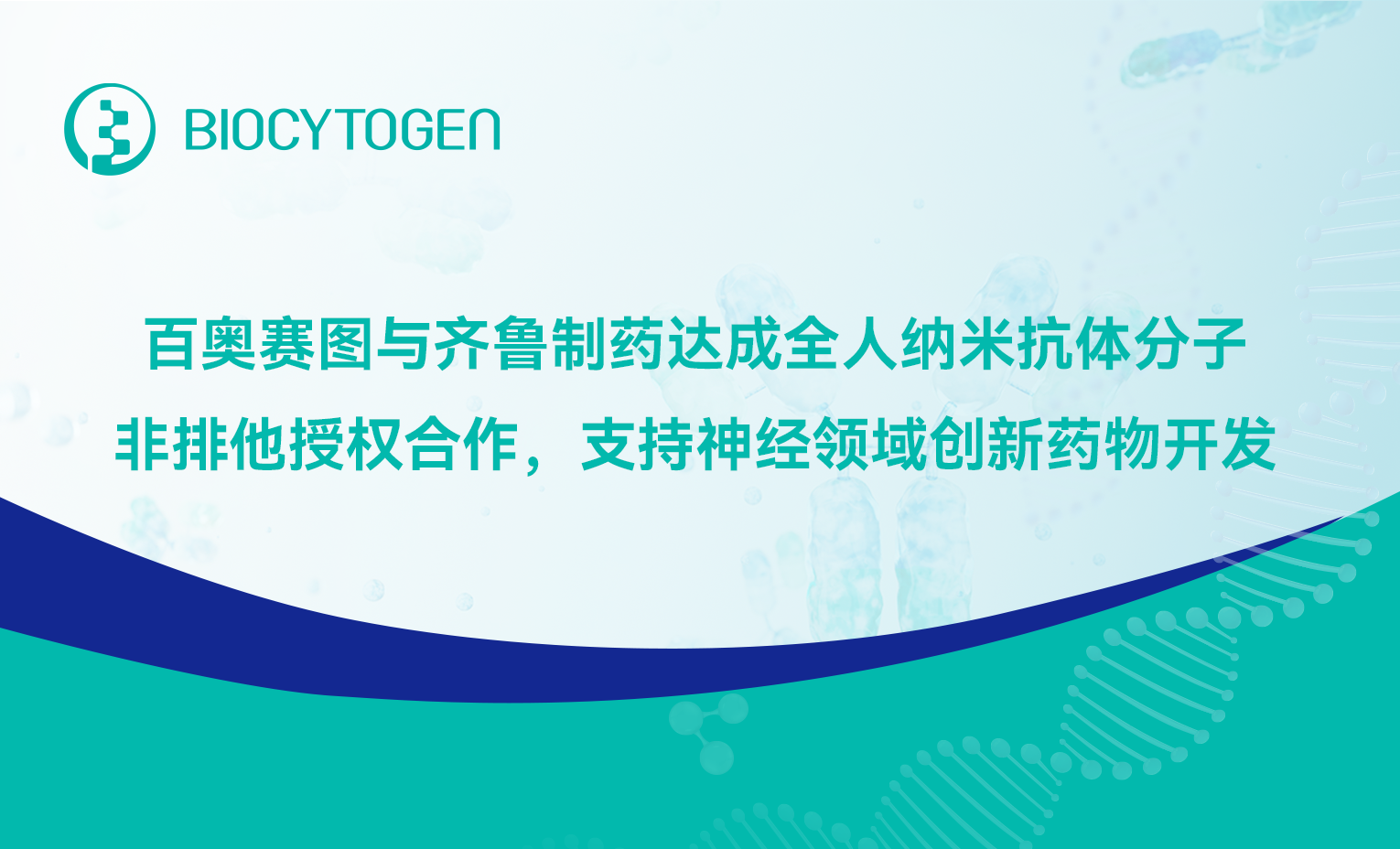 百奥赛图与齐鲁制药达成全人纳米抗体分子非排他授权合作，支持神经领域创新药物开发