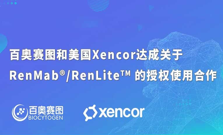 百奥赛图和美国Xencor达成关于RenMab/RenLite 的授权使用合作