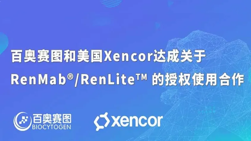 百奥赛图和美国Xencor达成关于RenMab/RenLite 的授权使用合作