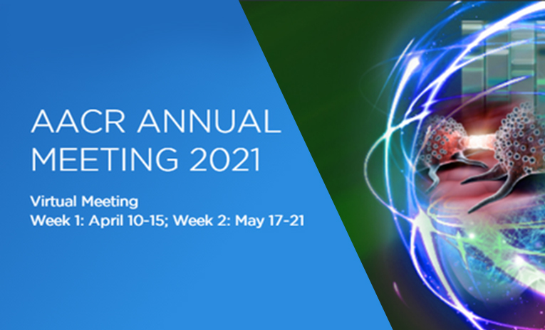 AACR2021丨 百奥赛图公布双抗药物YH008数据，展示16篇临床前研究海报