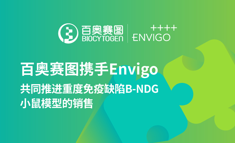 百奥赛图携手Envigo共同推进重度免疫缺陷B-NDG小鼠销售