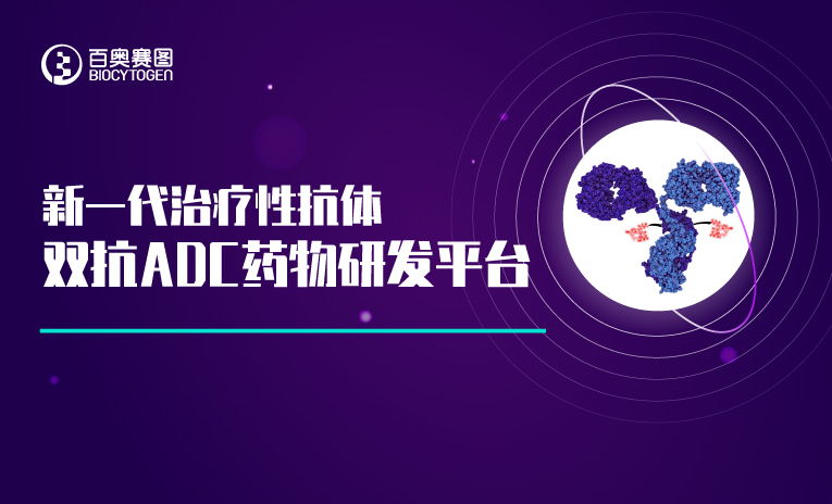 新一代治疗性抗体--双抗ADC药物研发平台