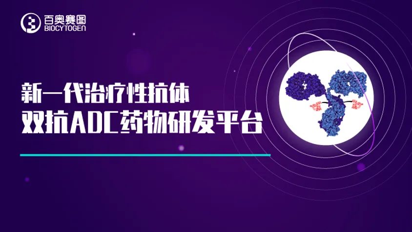 新一代治疗性抗体--双抗ADC药物研发平台