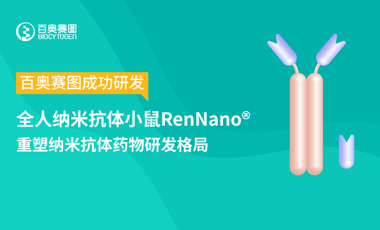 百奥赛图成功研发全人纳米抗体小鼠RenNano，重塑纳米抗体药物研发格局