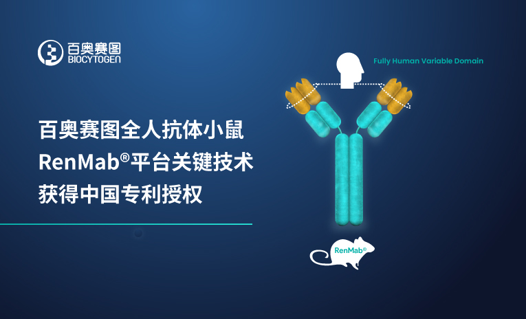 百奥赛图全人抗体小鼠RenMab平台关键技术获得中国专利授权