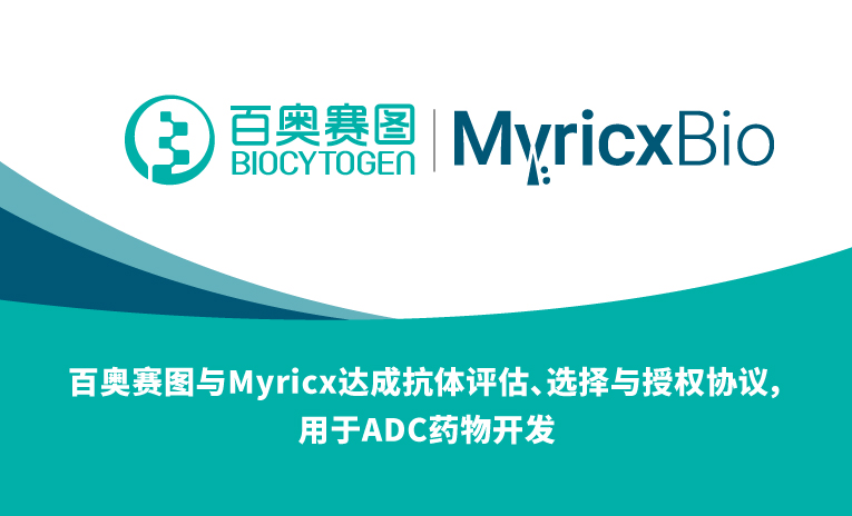 百奥赛图与Myricx达成抗体评估、选择与授权协议，用于ADC药物开发