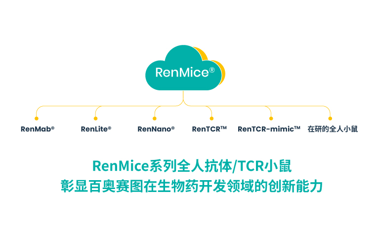 RenMice系列全人抗体/TCR小鼠彰显百奥赛图在生物药开发领域的创新能力