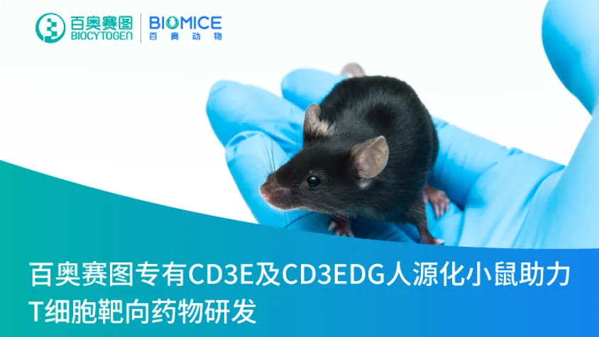 百奥赛图专有CD3E及CD3EDG人源化小鼠动物模型助力T细胞靶向药物研发