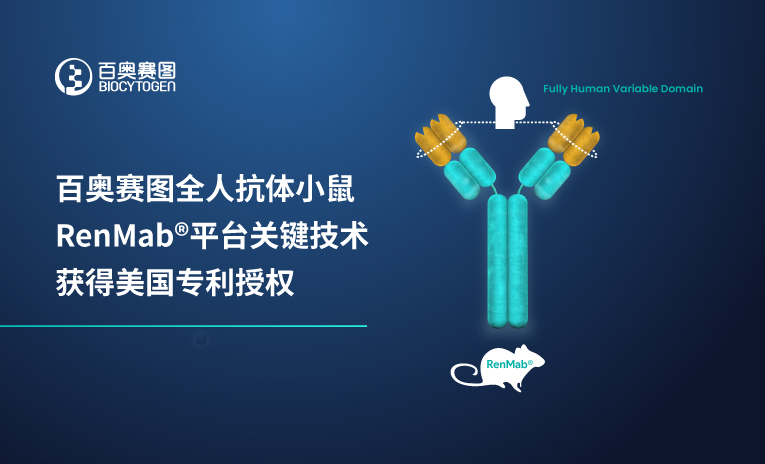 百奥赛图全人抗体小鼠RenMab平台关键技术获得美国专利授权