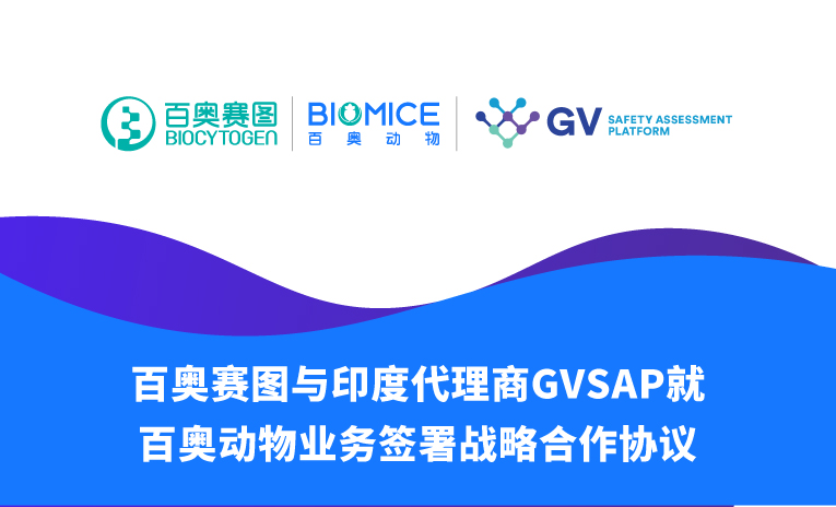 百奥赛图与印度代理商GVSAP就百奥动物业务签署战略合作协议