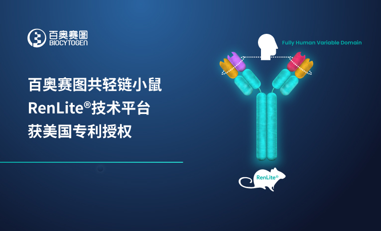 百奥赛图共轻链小鼠RenLite技术平台获美国专利授权