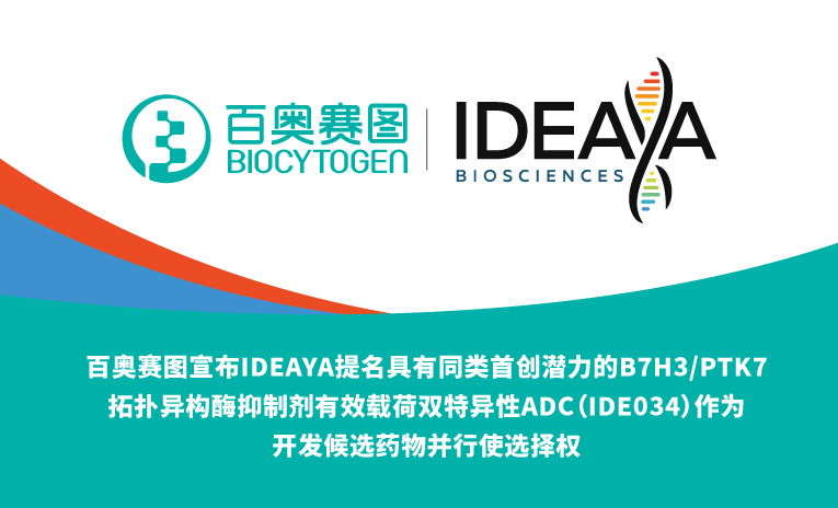 百奥赛图宣布IDEAYA提名具有同类首创潜力的B7H3/PTK7拓扑异构酶抑制剂有效载荷双特异性ADC（IDE034）作为开发候选药物并行使选择权