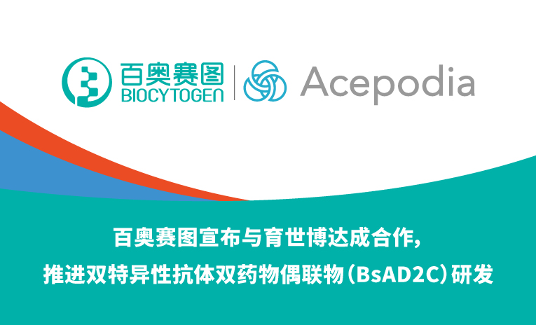 百奥赛图宣布与育世博达成合作，推进双特异性抗体双药物偶联物（BsAD2C）研发