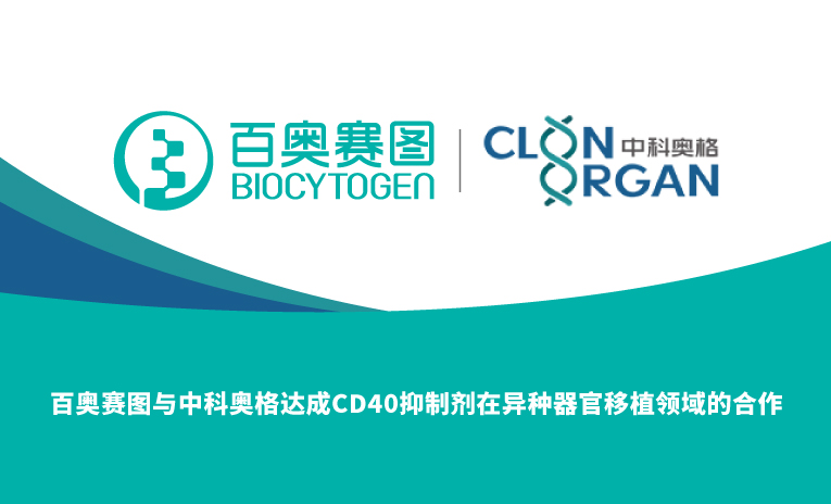 百奥赛图与中科奥格达成CD40抑制剂在异种器官移植领域的合作