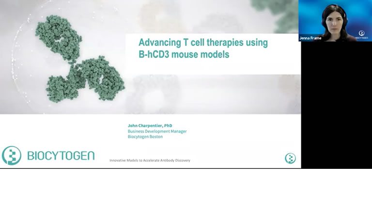 Advancing T cell Therapies Using B-hCD3 Mouse Models