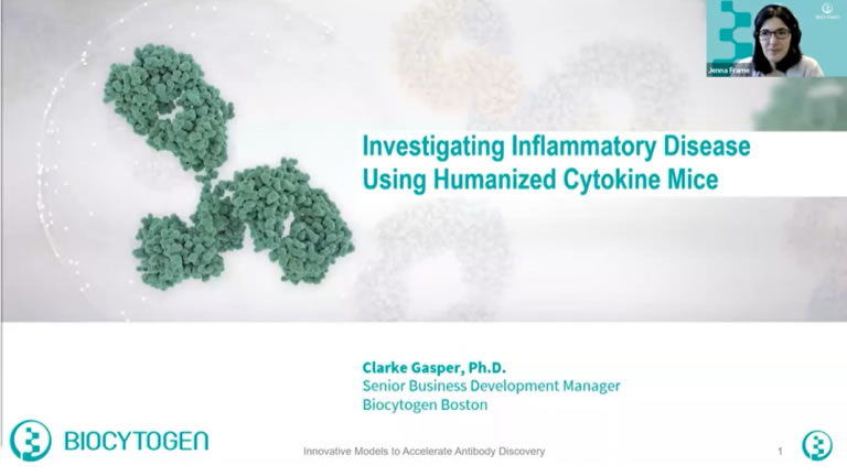 Investigating Inflammatory Disease using Humanized Cytokine Mice