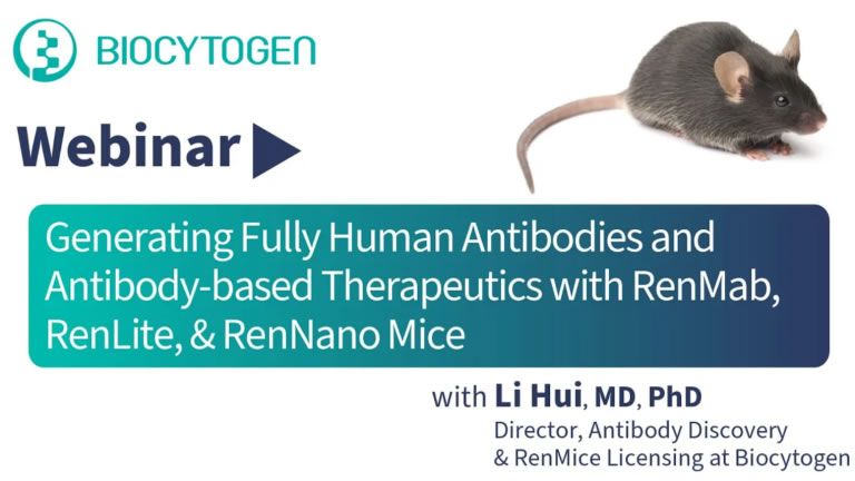 Generating Fully Human Antibodies and Antibody-based Therapeutics with RenMab, RenLite & RenNano Mice