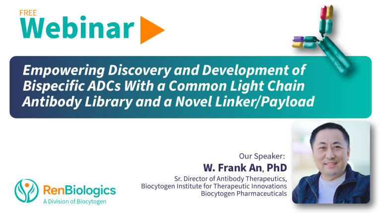 Empowering Discovery and Development of Bispecific ADCs With a Common Light Chain Antibody Library and a Novel Linker/Payload