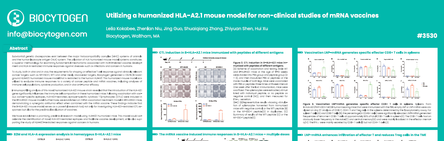 AACR 2025: Utilizing a humanized HLA-A2.1 mouse model for non-clinical studies of mRNA vaccines