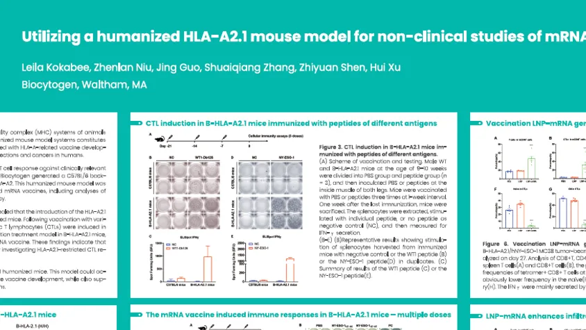 AACR 2025: Utilizing a humanized HLA-A2.1 mouse model for non-clinical studies of mRNA vaccines