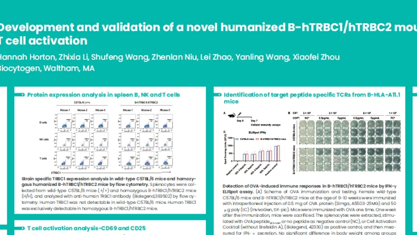 AACR 2025:Development and validation of a novel humanized B-hTRBC1/hTRBC2 mouse model for T cell activation