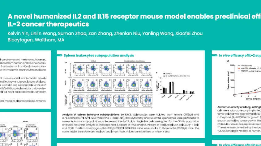 AACR 2025: A novel humanized IL2 and IL15 receptor mouse model enables preclinical efficacy studies for IL-2 cancer therapeutics