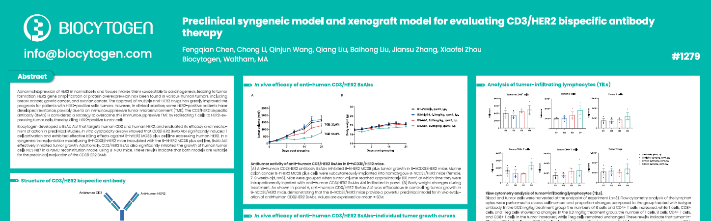 AACR 2025: Preclinical syngeneic model and xenograft model for evaluating CD3/HER2 bispecific antibody therapy