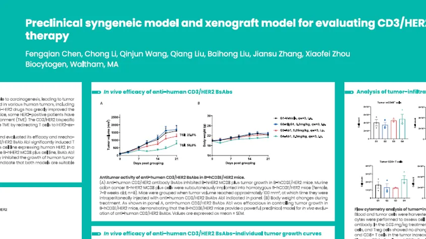 AACR 2025: Preclinical syngeneic model and xenograft model for evaluating CD3/HER2 bispecific antibody therapy