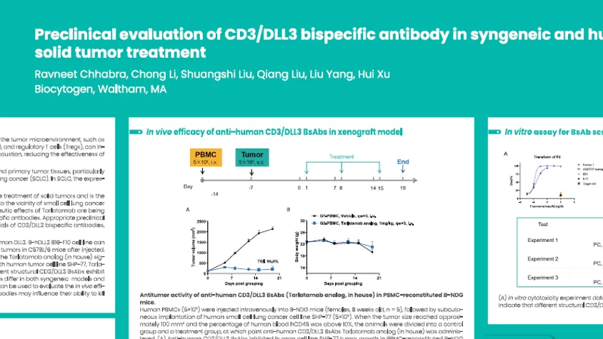 AACR 2025: Preclinical evaluation of CD3/DLL3 bispecific antibody in syngeneic and humanized mouse models for solid tumor treatment