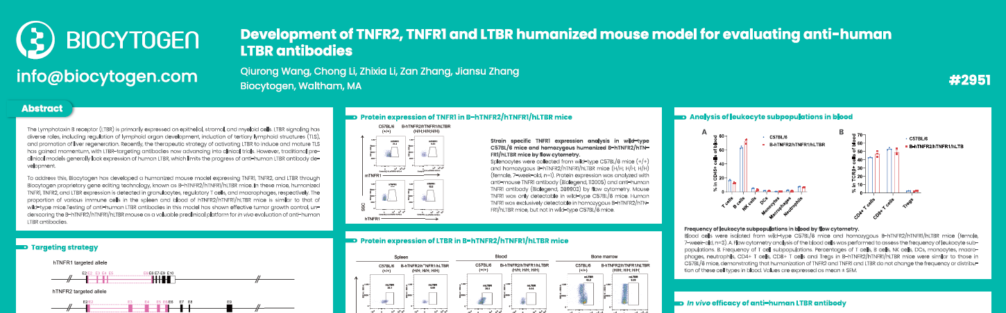 AACR 2025: Development of TNFR2, TNFR1 and LTBR humanized mouse model for evaluating anti-human LTBR antibodies
