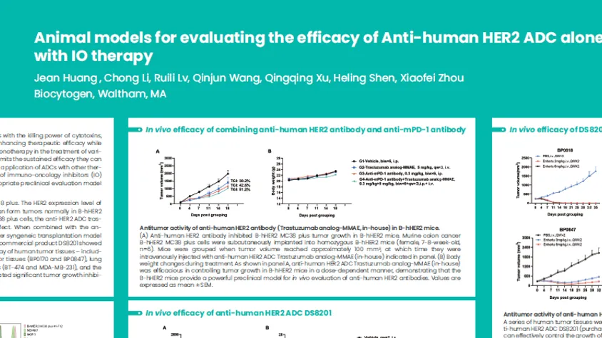 AACR 2025: Animal models for evaluating the efficacy of anti-human HER2 ADC alone or in combination with IO therapy