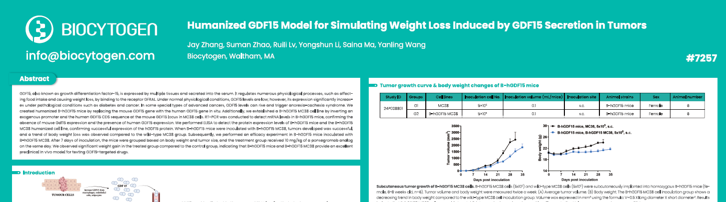 AACR 2025: Humanized GDF15 model for simulating weight loss induced by GDF15 secretion in tumors