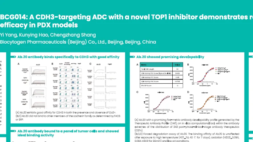 AACR 2025: BCG014: A CDH3-targeting ADC with a novel TOP1 inhibitor demonstrates robust anti-tumor efficacy in PDX models