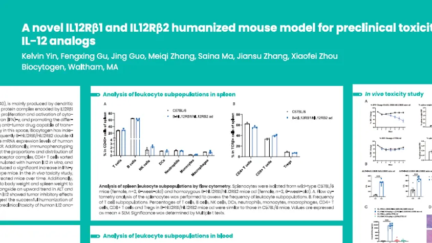 AACR 2025: A novel IL12Rβ1 and IL12Rβ2 humanized mouse model for preclinical toxicity evaluation of human IL-12 analogs