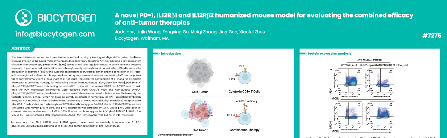 AACR 2025: A novel PD-1, IL12Rβ1 and IL12Rβ2 humanized mouse model for evaluating the combined efficacy of anti-tumor therapies