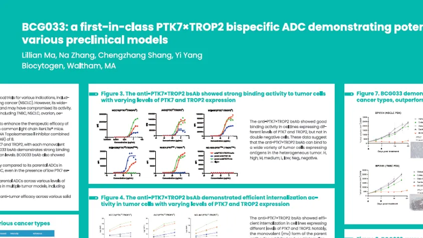 AACR 2025: BCG033: a first-in-class PTK7×TROP2 bispecific ADC demonstrating potent and broad efficacy in various preclinical models