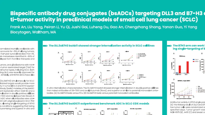 AACR 2025: Bispecific antibody drug conjugates (bsADCs) targeting DLL3 and B7-H3 demonstrated potent anti-tumor activity in preclinical models of small cell lung cancer (SCLC)