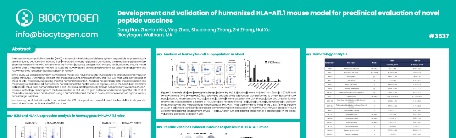 AACR 2025: Development and validation of humanized HLA-A11.1 mouse model for preclinical evaluation of novel peptide vaccines
