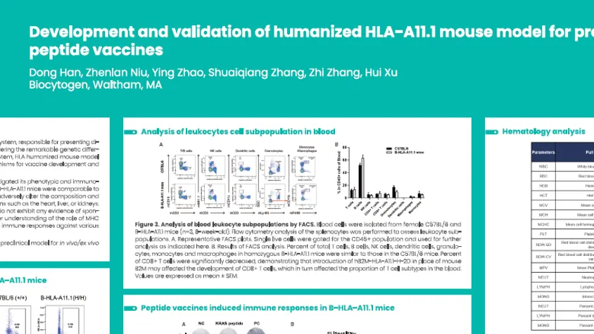 AACR 2025: Development and validation of humanized HLA-A11.1 mouse model for preclinical evaluation of novel peptide vaccines