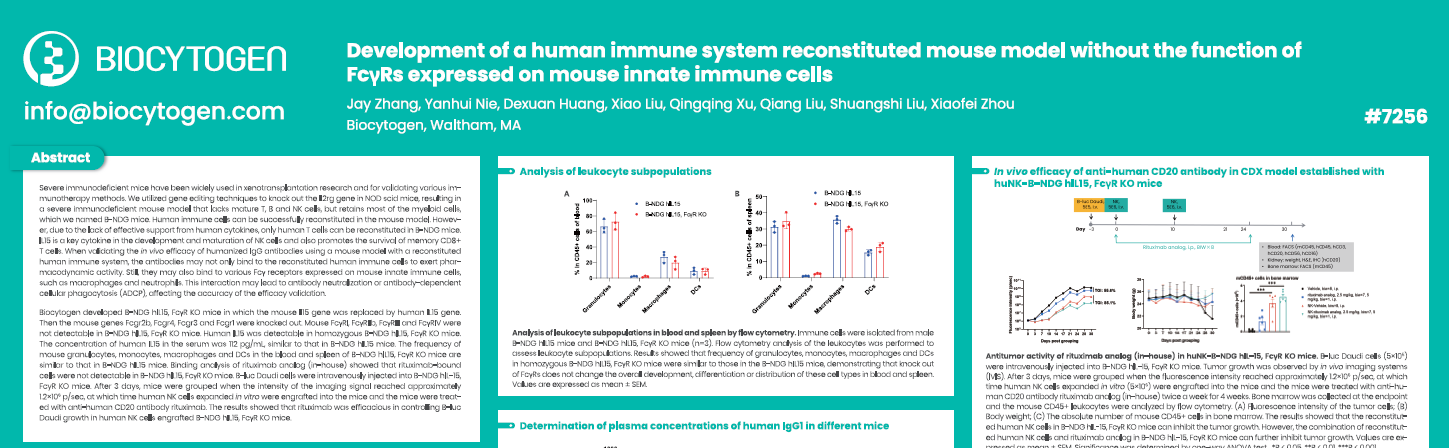 AACR 2025: Development of a human immune system reconstituted mouse model without the function of Fc&gamma;Rs expressed on mouse innate immune cells