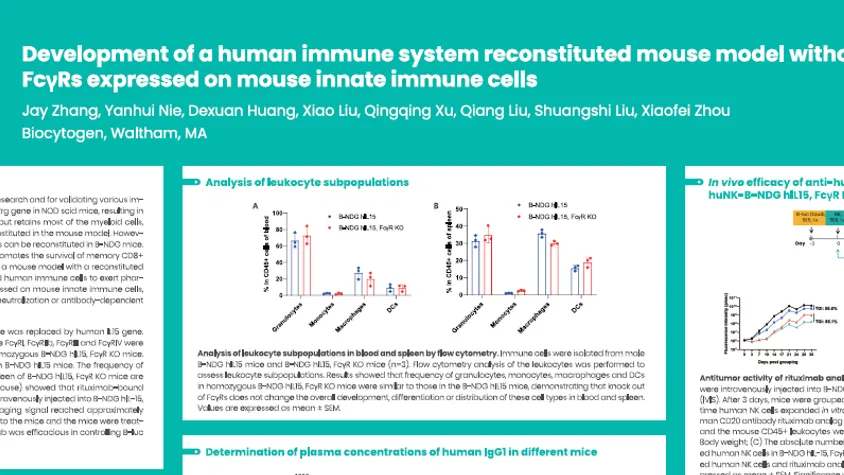 AACR 2025: Development of a human immune system reconstituted mouse model without the function of FcγRs expressed on mouse innate immune cells