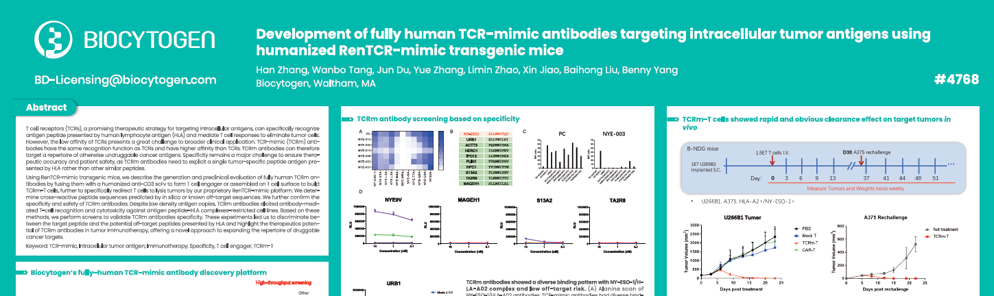 AACR 2025: Development of fully human TCR-mimic antibodies targeting intracellular tumor antigens using humanized RenTCR-mimic transgenic mice