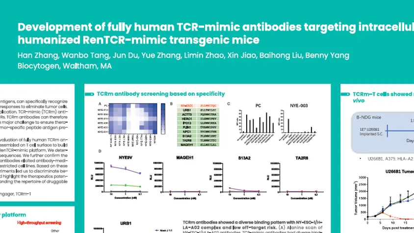 AACR 2025: Development of fully human TCR-mimic antibodies targeting intracellular tumor antigens using humanized RenTCR-mimic transgenic mice